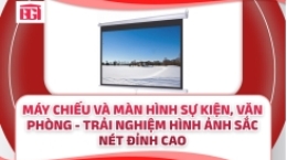 Máy Chiếu Và Màn Hình Sự Kiện, Văn Phòng - Trải Nghiệm Hình Ảnh Sắc Nét Đỉnh Cao