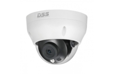 Camera IP DAHUA DS2230RDIP-S2