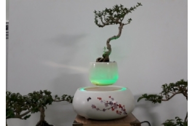 Bonsai bay Hoa Đào – Lộc Phát