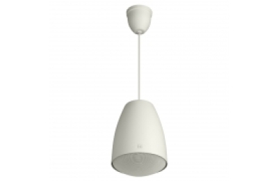 Loa treo trần 30W TOA PE-304